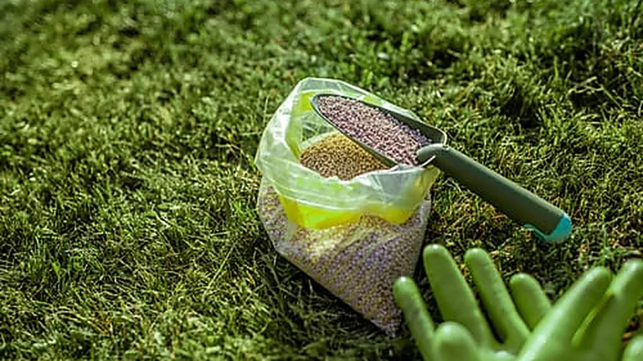 Bag of lawn fertilizer and spreading tools resting on green grass