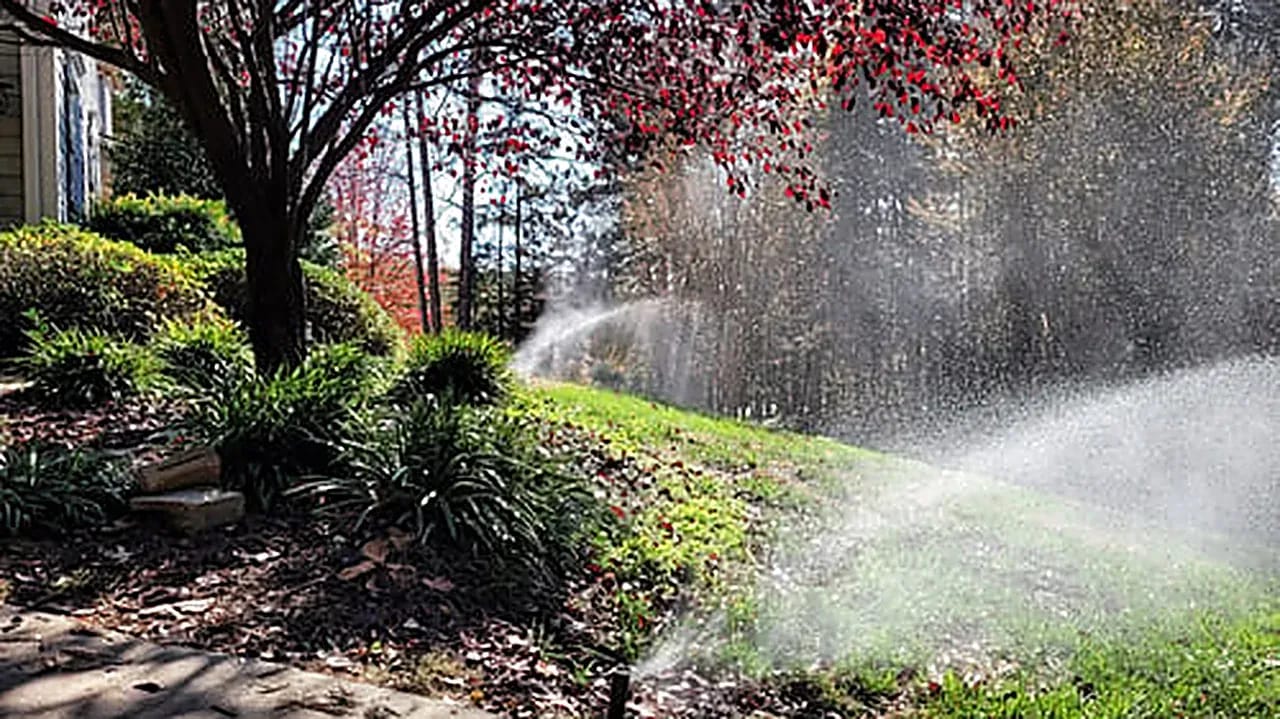 Sprinkler head watering a landscaped garden bed and lawn