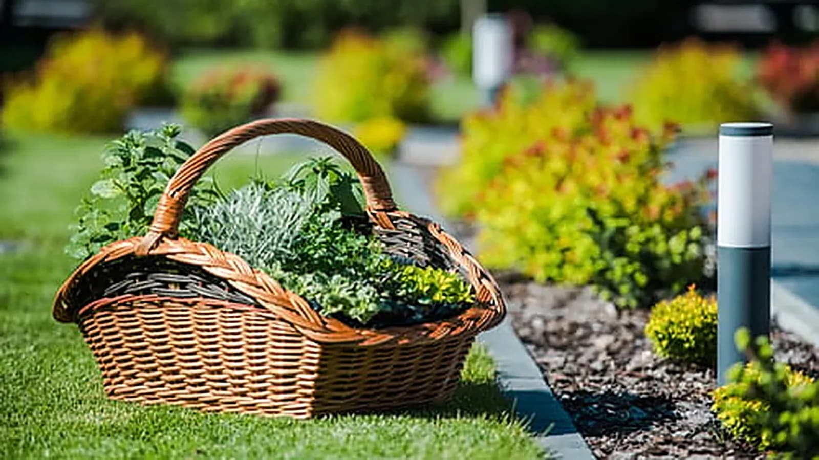 Professionally landscaped garden bed with planted basket and manicured lawn