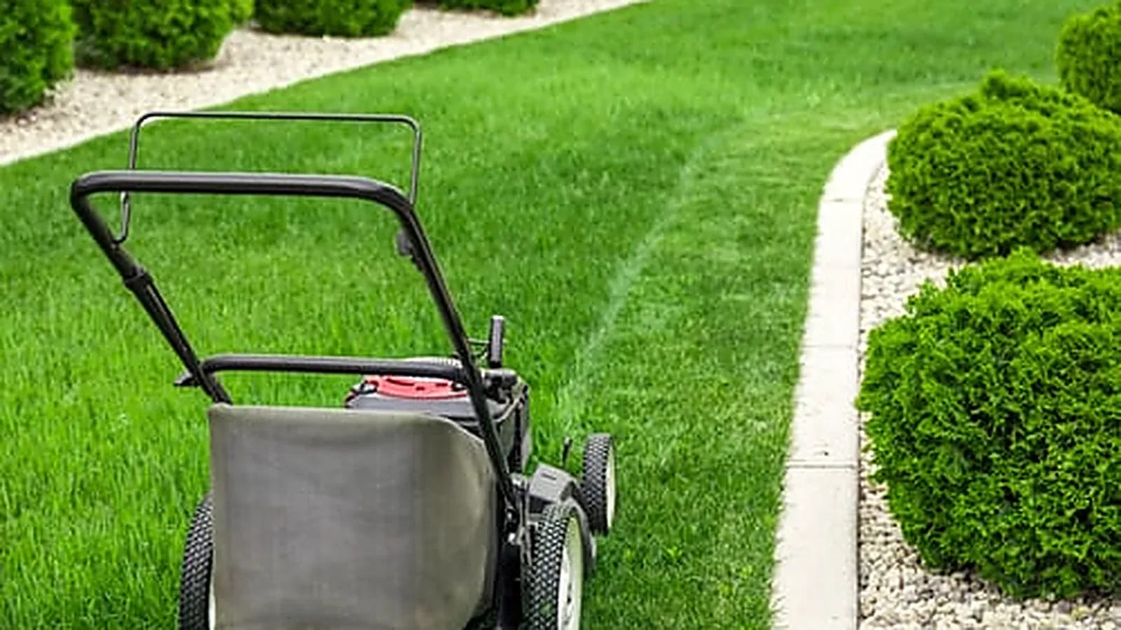 Freshly mowed lawn with crisp edging and trimmed hedges in Jupiter, Florida